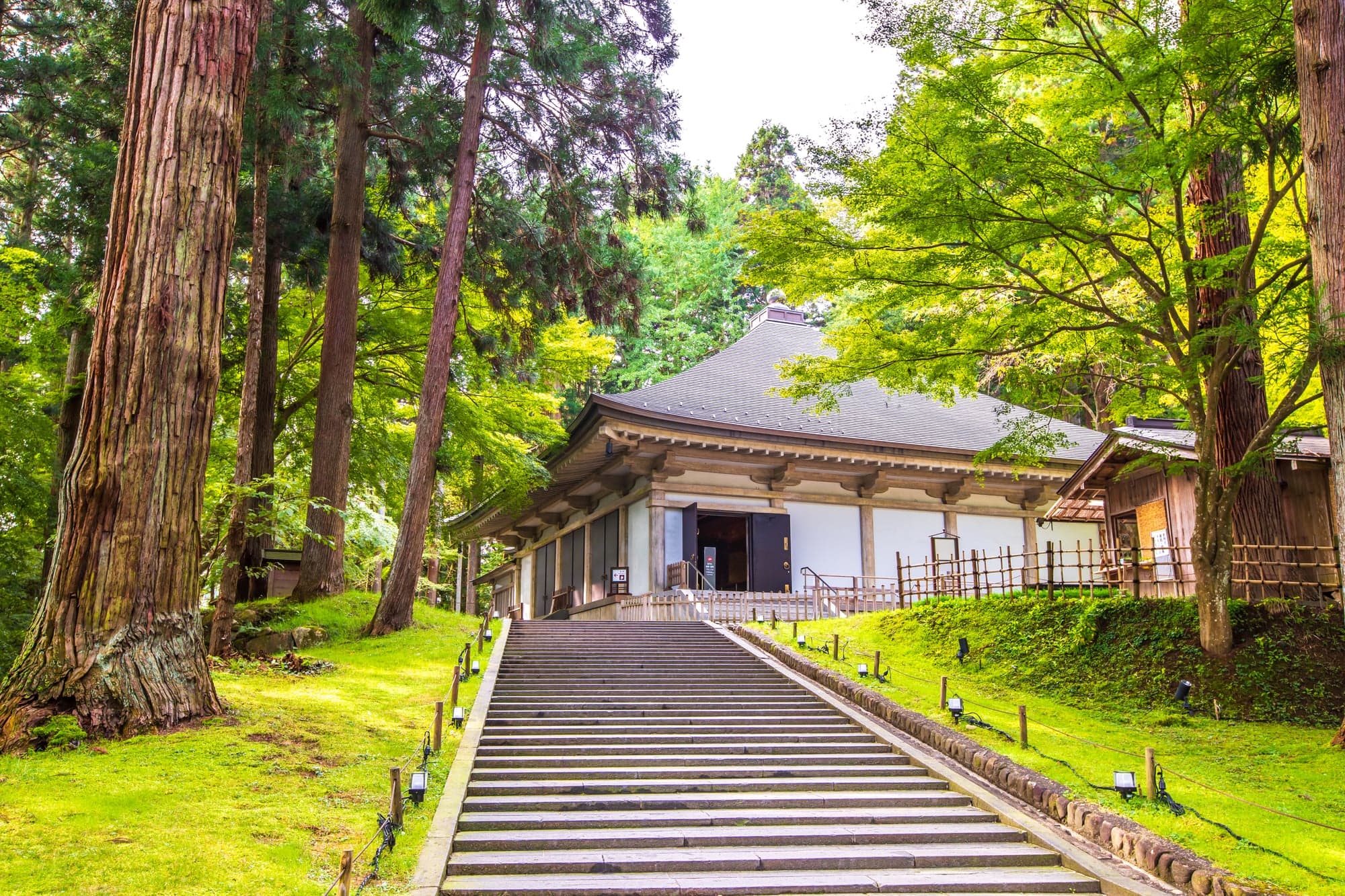緑に包まれた平泉の寺院景観