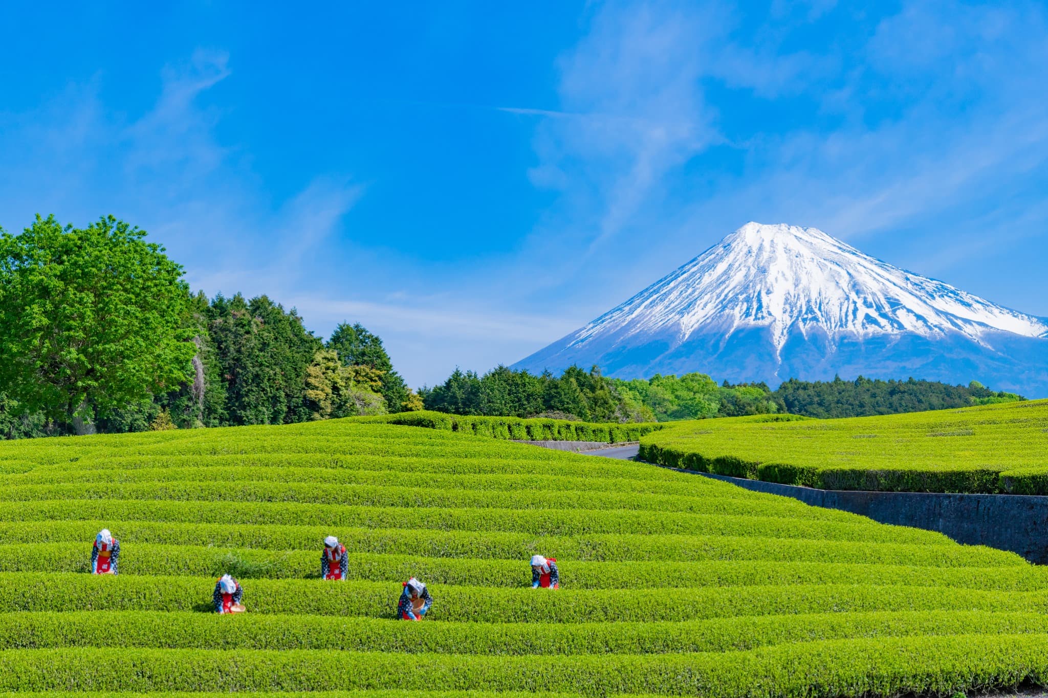 Shizuoka travel photograph