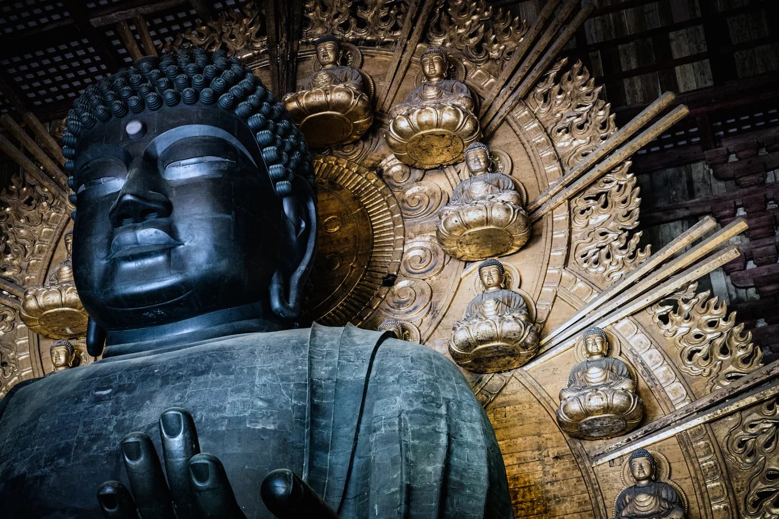 Nara travel photograph