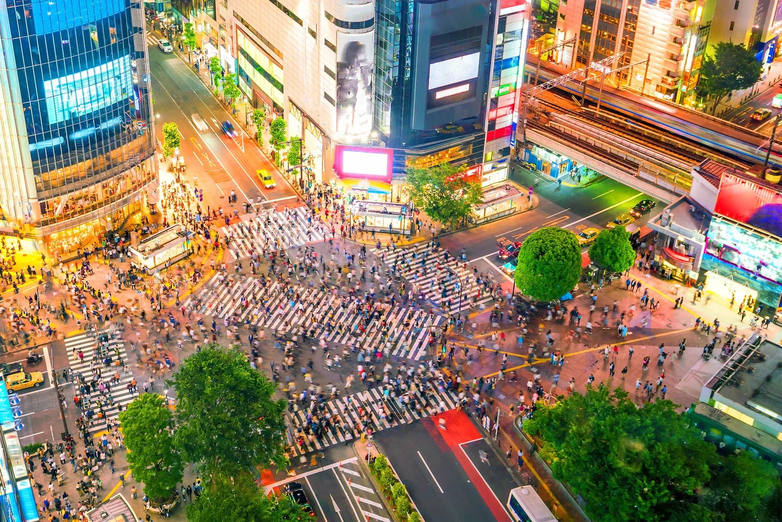 東京の夜の都市景観